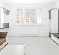 Moderný, zrekonštruovaný 3i byt 68m2, s lodžiou, pivnicou a parkovaním - Obývacia izba v 3-izbovom byte s pohovkou, skriňami a oknom s výhľadom.