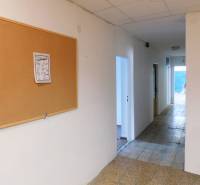 Prenájom skladu a haly, Trnava - Chodba v skladoch a halách s nástenkou a dverami.