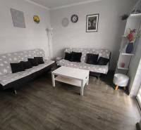 ‼️2 IZBOVÝ BYT NA PRENÁJOM, PARTIZÁNSKE -CENTRUM (KOMPLET ZARIADENÝ)‼️ - Obývacia izba v 2-izbovom byte s dvoma pohovkami, stolíkom a dekoráciami.