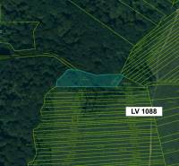Topoľovka – 371 m2 INVESTIČNÁ ORNÁ PÔDA a LES - Mapa katastrálnej oblasti Topoľovka zobrazuje poľnohospodárske a lesné pozemky s parcelnými číslami.