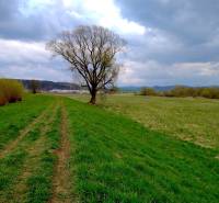 Topoľovka – 371 m2 INVESTIČNÁ ORNÁ PÔDA a LES - Krajina v Topoľovke, poľnohospodárske a lesné pozemky so stromom pod zamračenou oblohou.