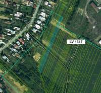 Topoľovka – 371 m2 INVESTIČNÁ ORNÁ PÔDA a LES - Katastrálna mapa poľnohospodárskych a lesných pozemkov v Topoľovke s parcelami a budovami.