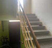 VÝNIMOČNÁ INVESTIČNÁ PRÍLEŽITOSŤ V CENTRE PIEŠŤAN - Schodisko v rodinnom dome s bicyklami a rastlinou na parapete.