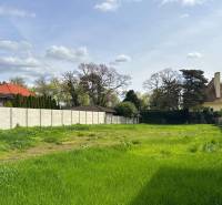Pozemok 1315 m² pre rodinný dom blízko centra – Sládkovičovo - Zelený pozemok v Sládkovičove vhodný pre bývanie, obklopený živými plotmi a stromami.