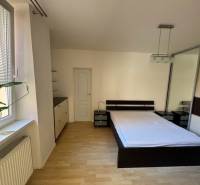 Prenájom 2-izb bytu na Ventúrskej ulici, Bratislava- centrum - Spálňa v 2-izbovom byte s posteľou, skriňou a veľkým oknom s kvetinou.