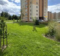 Pripravujem do ponuky!!! 2-izbový byt v Trstenej, Západ, 50m2, loggia - Trávnatá plocha pred bytovým domom na ulici Západ v Tvrdošíne obklopená zeleňou a parkoviskom.