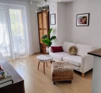 Predaj 2 izbový byt, vedený ako apartmán, možnosť hypo, Hviezdna ulica - Obývacia izba v 2-izbovom byte s bielou sedačkou a rastlinou.