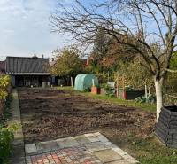 ? Na predaj: Rodinný dom s vedľajšou stavbou – Trstin (okres Trnava) - Záhrada pri rodinnom dome v Trstíne s ovocnými stromami a chodníkom.