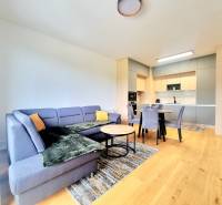 | EXKLUZÍVNE! | Krásny NOVÝ 2-izbový byt | 48m² | Čerešne - Obývacia izba s kuchyňou v 2-izbovom byte, drevená podlaha, pohodlná sedačka.