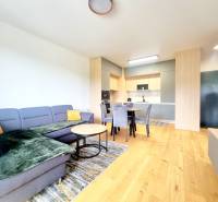 | EXKLUZÍVNE! | Krásny NOVÝ 2-izbový byt | 48m² | Čerešne - Obývacia izba s kuchynským kútom v 2-izbovom byte, drevená podlaha, pohodlná sedačka.