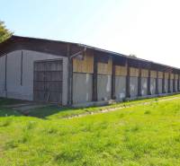 Na predaj sklady v obci Chrastince, Veľký Krtíš - Sklad na ulici Chrastince, vedľa haly, obklopený zelenou trávou.