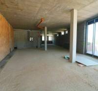 Predaj OP o výmere 86,62 m2 na predaj, Senec - Na ulici Vtáčia, nedokončené obchodné priestory s veľkými oknami a betónovými stenami.