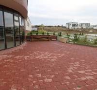 Predaj OP o výmere 86,62 m2 na predaj, Senec - Na ulici Vtáčia: prázdne obchodné priestory so sklenenými dverami a vonkajšou terasou.