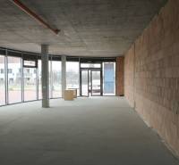 Predaj OP o výmere 86,62 m2 na predaj, Senec - Interiér na Vtáčia s nezariadenými obchodnými priestormi, pripravený na prispôsobenie podľa potrieb.