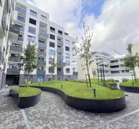 LUXUSNÝ 2i byt, KESSELBAUER, KLÍMA, LOGGIA, PARKING, Námestie 1.mája - Obytná zóna na ulici Námestie 1.mája, tráva a moderné balkóny viacpodlažných bytov.