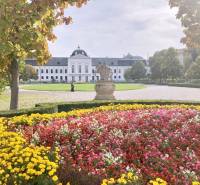 LUXUSNÝ 2i byt, KESSELBAUER, KLÍMA, LOGGIA, PARKING, Námestie 1.mája - Krásny park s pestrofarebnými kvetmi a historickou budovou na ulici Námestie 1.mája.
