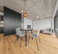 EXKLUZÍVNY MEZONETOVÝ 4i byt ( 103 m2 ), NADSTAVBA, KLÍMA, LOGGIA,NIVY - Interiér 4-izbového bytu s drevenou podlahou a presklenou stenou na ulici Páričkova.
