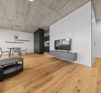 EXKLUZÍVNY MEZONETOVÝ 4i byt ( 103 m2 ), NADSTAVBA, KLÍMA, LOGGIA,NIVY - Štýlový interiér 4-izbového bytu na ulici Páričkova, s drevenou podlahou a televízorom.