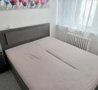 PRIESTRANNÝ 2i byt, BLUMENTÁL, LOGGIA, Wilsonova ulica, Staré Mesto - Spálňa v 2-izbovom byte s manželskou posteľou, nočným stolíkom a obrázkom na stene.