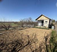 Predaj, záhradná chata Brodzany, pozemok 700 m2 - EX... - Záhrada s chatkou, pripravená na pestovanie, obklopená stromami a poľom v pozadí.