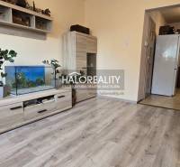 Predaj, rodinný dom Jelka - EXKLUZÍVNE HALO REALITY - Rodinný dom s obývačkou a kuchyňou, akvárium, nábytok, kvety, podlaha laminátová.