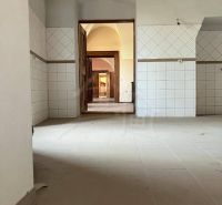 Rekonštruovaný barokový kaštieľ s kaplnkou a rozsiahlym parkom v Trávn - Interiér zvláštnych nehnuteľností s klenutými tehlovými stropmi a keramickými obkladmi.
