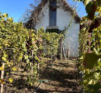 Chatka s rozsiahlou záhradou v lone prírody pri mlynskom náhone v Nový - V Nových Zámkoch sa nachádza chata obklopená vinicou, ktorá príjemne dopĺňa okolie.
