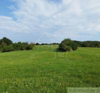Veľký, vyše 4,5Ha slnečný pozemok s chalupou v strede, na lazoch, pri  - Zelená lúka s kríkmi a modrou oblohou v okolí Hrušova.