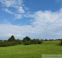 Veľký, vyše 4,5Ha slnečný pozemok s chalupou v strede, na lazoch, pri  - Zelená lúka v Hrušove obklopená stromami, modrá obloha s bielymi oblakmi.