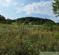 Veľký, vyše 4,5Ha slnečný pozemok s chalupou v strede, na lazoch, pri  - Lúka s kvetmi a stromami v okolí Hrušova, modrá obloha, leto.