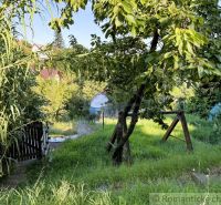 Chata v Stupave, pokojné miesto na víkendy a relax v prírode - Záhrada s trávnikom a stromami pri chate v Stupave, hojdačka, prírodné prostredie.