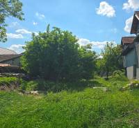 NOVÁ CENA - investičná príležitosť v obci Bíňovce - Zarastená záhrada pri rodinnom dome v Bíňovciach na ulici Bíňovce.