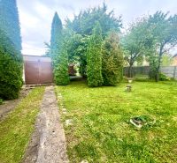 Rodinný dom s veľkým pozemkom - Turňa nad Bodvou - Záhrada rodinného domu v Turni nad Bodvou s udržiavaným trávnikom a ihličnanmi.