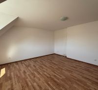 6-izbový rodinný dom s pozemkom 2218m2  | Horňany - Izba v rodinnom dome s podlahou s dreveným dekorom je svetlá a priestranná.