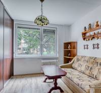 3-izbový byt v Šali na Vajanského ulici - Izba v 3-izbovom byte s pohovkou, stolíkom a podlahou s dreveným dekorom.