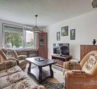 3-izbový byt v Šali na Vajanského ulici - Obývacia izba v 3-izbovom byte s pohovkou, kreslami a podlahou s dreveným dekorom.