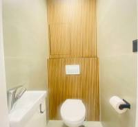 NA PRENÁJOM NOVOZREKONŠTRUOVANÝ 2-IZBOVÝ BYT, UL. ROŽŇAVSKÁ - Toaleta s dreveným dekorom v 2-izbovom byte. Biela sanitárna keramika.