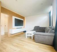 NA PRENÁJOM NOVOZREKONŠTRUOVANÝ 2-IZBOVÝ BYT, UL. ROŽŇAVSKÁ - Obývacia izba v 2-izbovom byte s pohovkou a podlahou s dreveným dekorom.