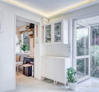 7-izbový rodinný dom s úžasným výhľadom v prestížnej lokalite Devín - Otváracie dvere, poličky, izbové rastliny a umelecký obraz v Chate.