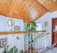 Rekreačná chata s úžasným výhľadom v prestížnej lokalite Devín - Vstupná hala v chate s dreveným stropom a bohatou zeleňou, podlaha s dreveným dekorom.