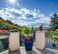 Rekreačná chata s úžasným výhľadom v prestížnej lokalite Devín - Slnečná terasa chaty s kvetinami a výhľadom na lesy v Bratislave-Devíne.