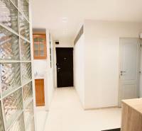 NA PRENÁJOM PRIESTRANNÝ 3-IZBOVÝ BYT V SKVELEJ LOKALITE, UL. SLOBODY - Chodba v 3-izbovom byte s presklenou stenou a bielymi dverami.