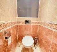 NA PRENÁJOM PRIESTRANNÝ 3-IZBOVÝ BYT V SKVELEJ LOKALITE, UL. SLOBODY - Toaleta s obkladmi v 3-izbovom byte, doplnená výrazným koberčekom.