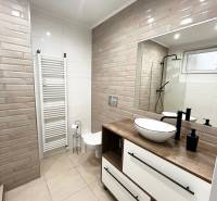 NA PRENÁJOM NADŠTANDARDNÝ 2-IZBOVÝ BYT V CENTRE MESTA - Kúpeľňa obsahuje sprchový kút s čiernym rámom, umývadlo a toaletu.