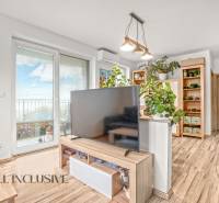 REZERVOVANÉ | NA PREDAJ 3-IZBOVÝ BYT S TERASOU, BLATNÁ NA OSTROVE - Interiér 3-izbového bytu s podlahou s dreveným dekorom, televíziou a izbovými rastlinami.