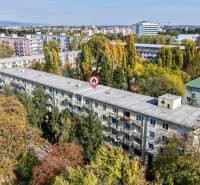 SEČOVSKÁ, 2-i tehlový byt, 56 m2, orientácia V a Z - OBKLOPENÝ ZELEŇOU - Pohľad na bytový dom obklopený zeleňou v Bratislave - Ružinove na Sečovskej.