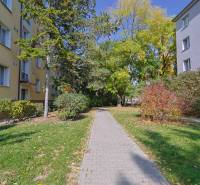 SEČOVSKÁ, 2-i tehlový byt, 56 m2, orientácia V a Z - OBKLOPENÝ ZELEŇOU - Chodník medzi bytovkami na Sečovskej ulici v Bratislave - Ružinove, obklopený zeleňou.