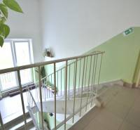 SEČOVSKÁ, 2-i tehlový byt, 56 m2, orientácia V a Z - OBKLOPENÝ ZELEŇOU - Schodisko s izbovými rastlinami a únikovým značením v bytovom dome.