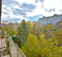 SEČOVSKÁ, 2-i tehlový byt, 56 m2, orientácia V a Z - OBKLOPENÝ ZELEŇOU - Výhľad z balkóna 2-izbového bytu na Sečovskej ulici v Bratislave - Ružinove, obklopený zeleňou.