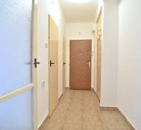 SEČOVSKÁ, 2-i tehlový byt, 56 m2, orientácia V a Z - OBKLOPENÝ ZELEŇOU - Vstupná chodba v 2-izbovom byte s dlažbou a viacerými dverami.